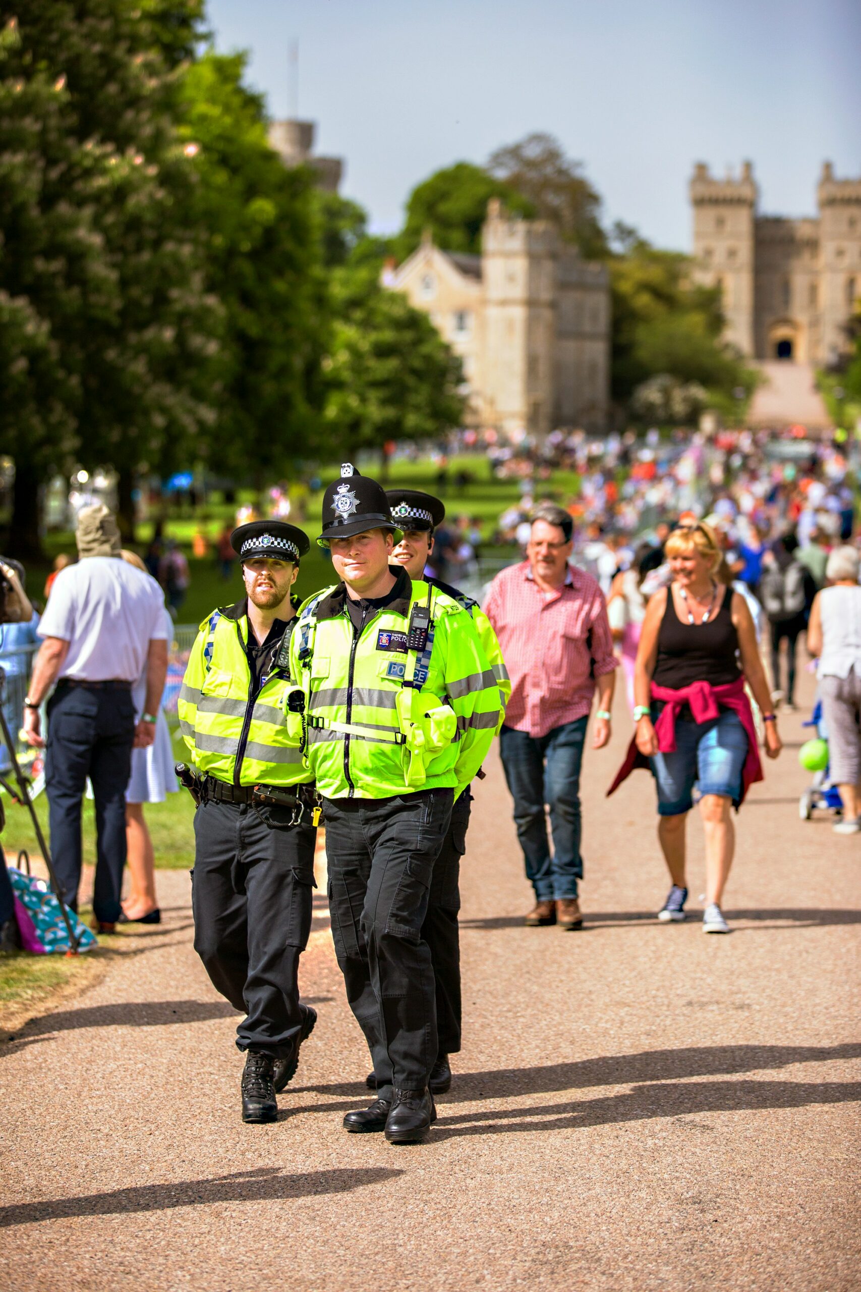 Critical processes within the Metropolitan Police Service’s operating model